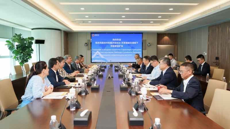 塔吉克斯坦副总理苏莱曼会见星空网官方站入口-星空online(中国)董事长陈景河